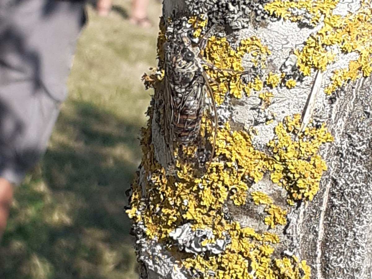 Es lohnt sich, genau&nbsp;hinzuschauen